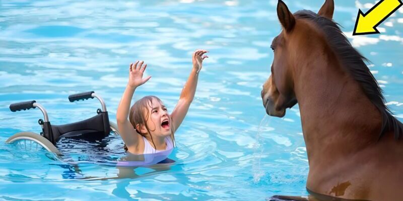 Il mio vecchio amico brossò nella raccolta dei libri, ma dopo quello che fece, i bambini andarono in giro