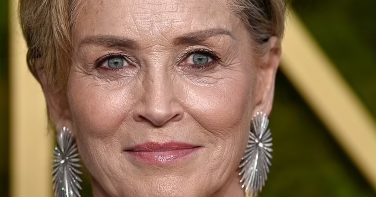 Roan, il Figlio Adottivo di Sharon Stone, 25 Anni, Sorprende i Fan con una Somiglianza da Gemelli in un’Apparizione Rara sul Red Carpet!: Guarda le Foto!