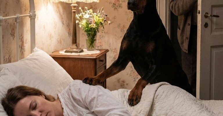 Una notte tranquilla, il nostro cane si è intrufolato silenziosamente e ha abbaiato mentre metteva le zampe sulla mia moglie addormentata.